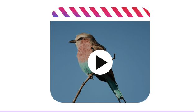 Instagram IGTV downloader preview